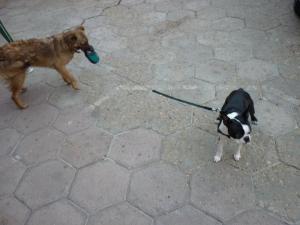 Прикачена снимка