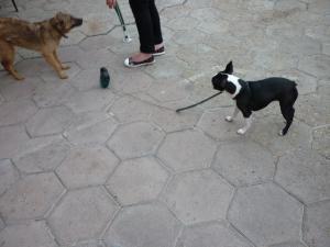 Прикачена снимка