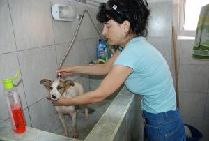 Прикачена снимка
