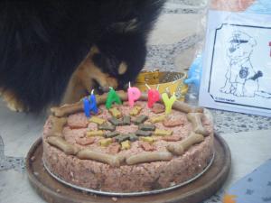 Прикачена снимка