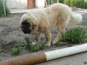 Прикачена снимка