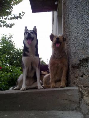 Прикачена снимка