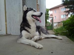 Прикачена снимка