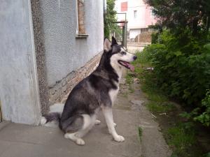 Прикачена снимка