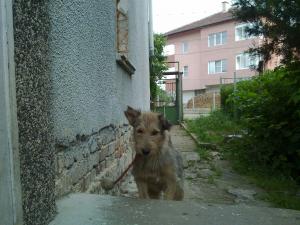 Прикачена снимка