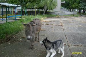 Прикачена снимка