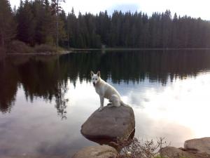 Прикачена снимка