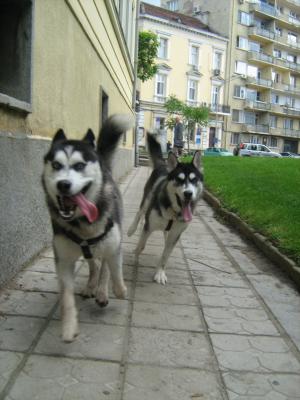 Прикачена снимка