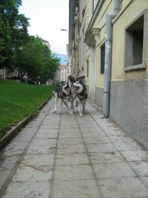 Прикачена снимка