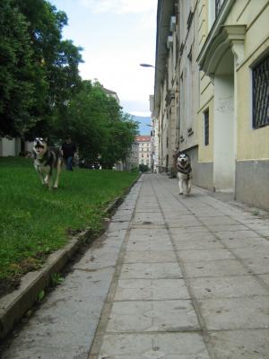 Прикачена снимка