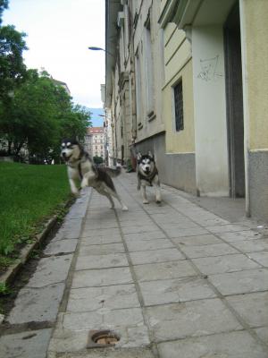 Прикачена снимка