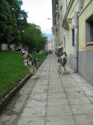 Прикачена снимка