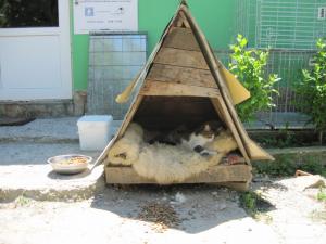 Прикачена снимка