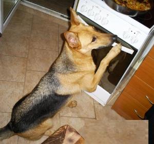 Прикачена снимка