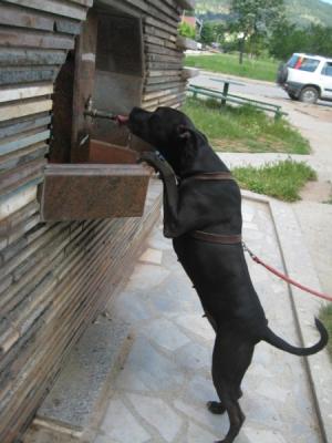 Прикачена снимка