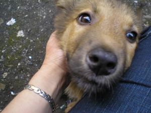 Прикачена снимка