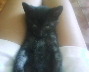 Прикачена снимка