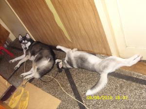 Прикачена снимка