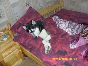 Прикачена снимка
