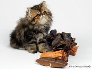 Прикачена снимка