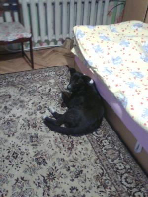 Прикачена снимка
