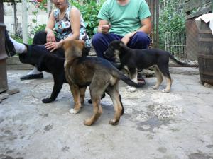 Прикачена снимка