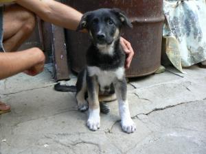 Прикачена снимка
