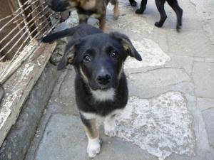 Прикачена снимка