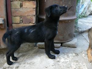 Прикачена снимка