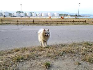 Прикачена снимка
