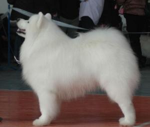 Прикачена снимка