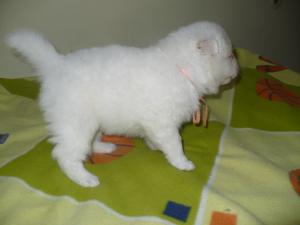 Прикачена снимка