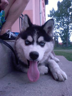 Прикачена снимка