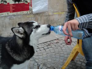Прикачена снимка
