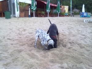 Прикачена снимка