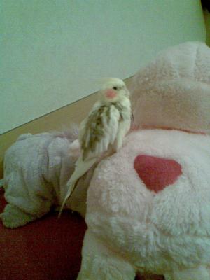 Прикачена снимка