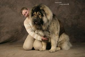 Прикачена снимка