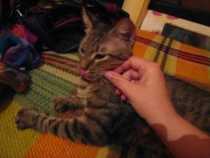 Прикачена снимка