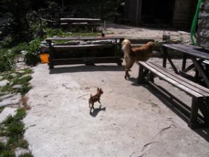 Прикачена снимка