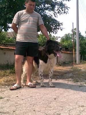 Прикачена снимка