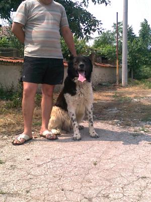 Прикачена снимка
