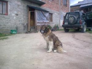 Прикачена снимка