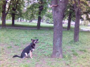 Прикачена снимка