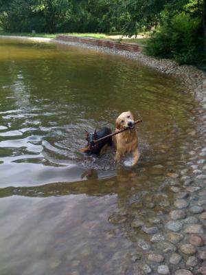 Прикачена снимка