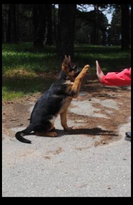 Прикачена снимка