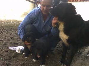 Прикачена снимка