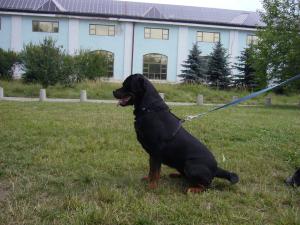 Прикачена снимка