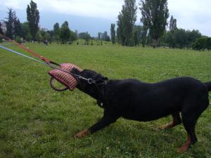 Прикачена снимка