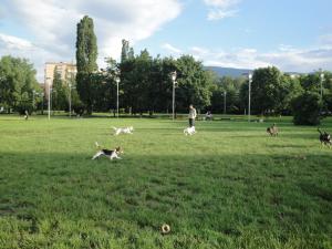 Прикачена снимка