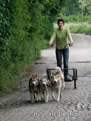 Прикачена снимка